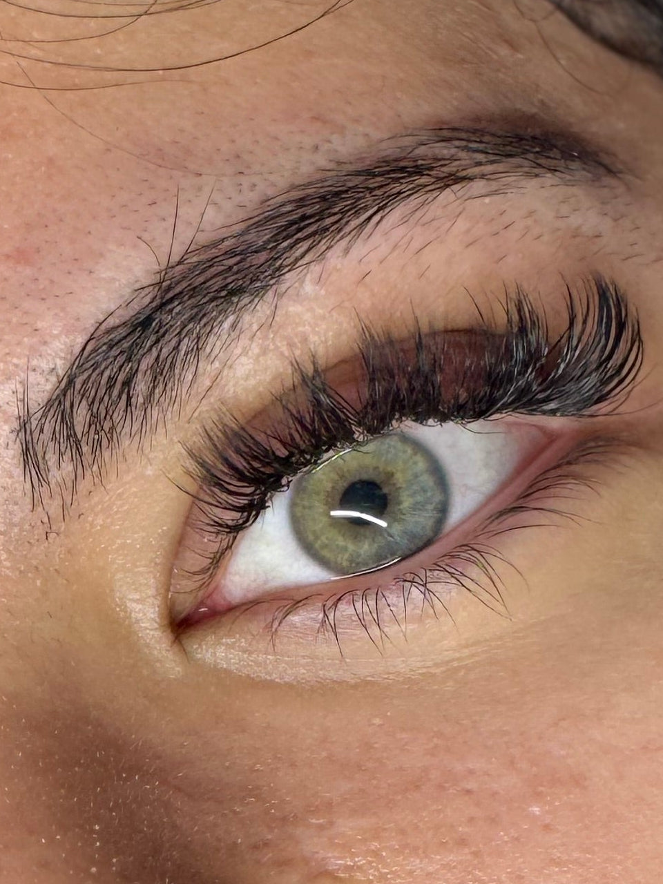 Professionelle Volumen-Wimpernverlängerung mit dichrer Lashline - Lash Extensions von DOLLSBEAUTY.